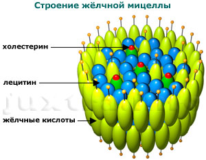 жёлчная мицелла