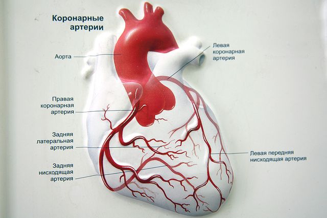 Инфографика 2