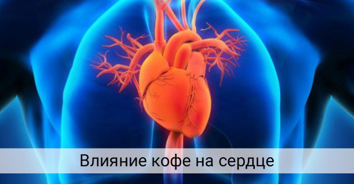 Как кофе влияет на сердце?