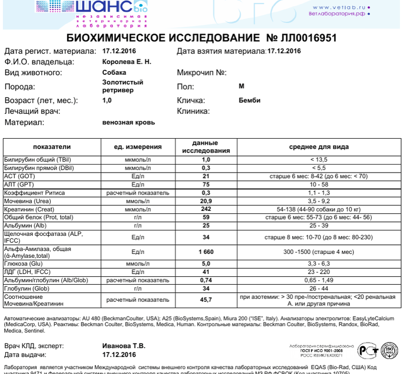 Что значит пониженная щелочная фосфатаза