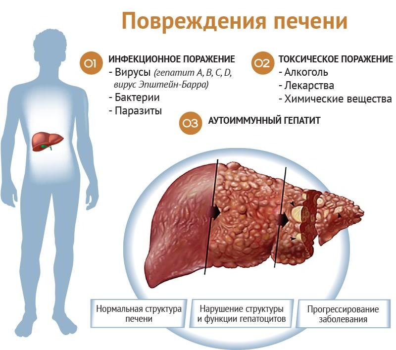 повреждения печени