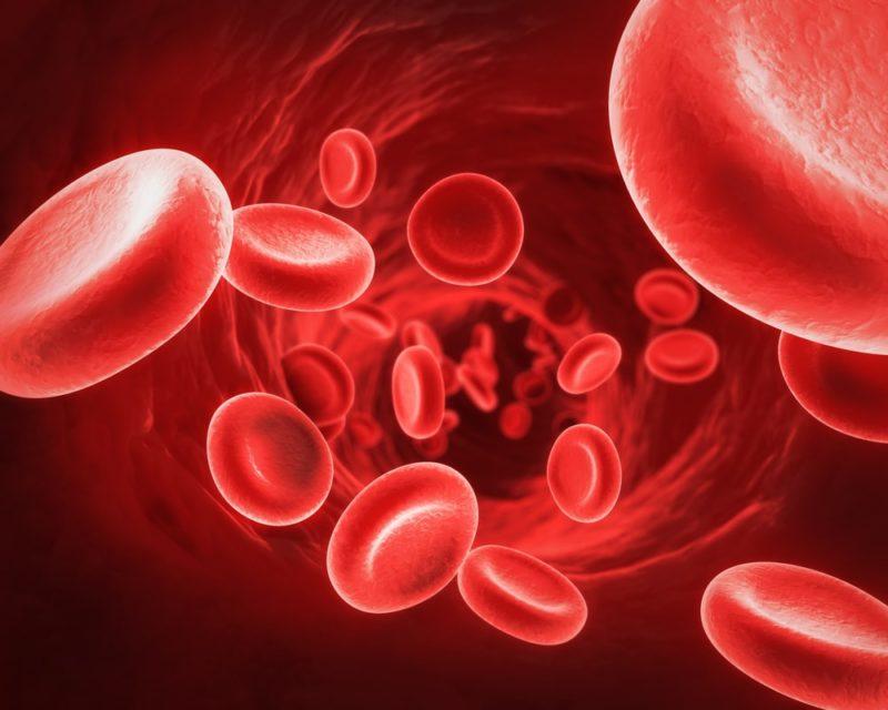 анализ крови на антиген