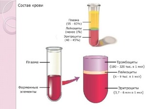 Кровообращение  