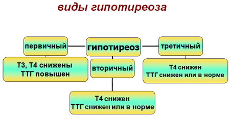 Стадии гипотиреоза