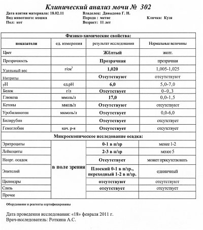 Клинический анализ мочи. Общий анализ мочи при сахарном диабете показатели. Общий анализ мочи при сахарном диабете 1 типа. Сахарный диабет анализ мочи показатели норма. Анализ мочи при диабете показатели.