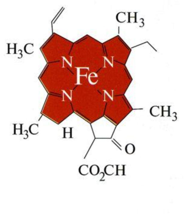 Формула гемоглобина