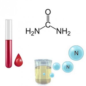 Химическая формула карбамида