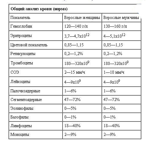 Общий анализ крови в норме