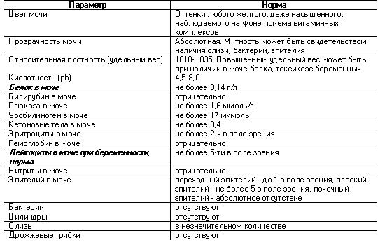 Показатели в моче при беременности