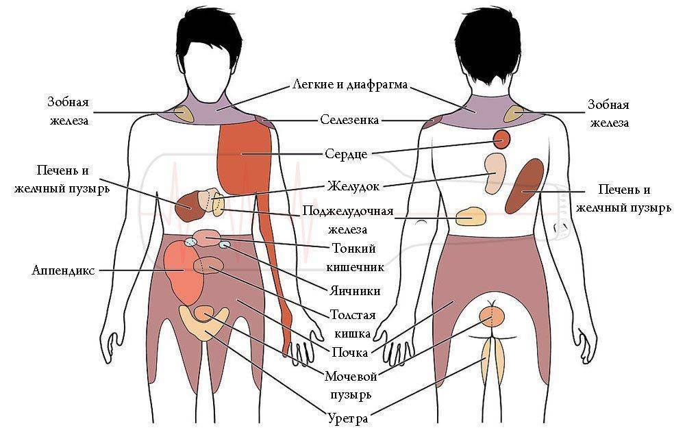 Локализация болей