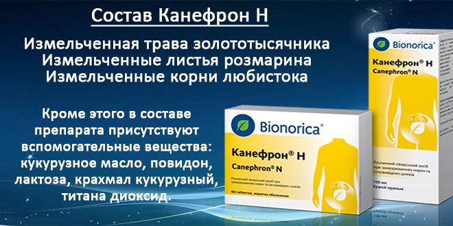 Канефрон