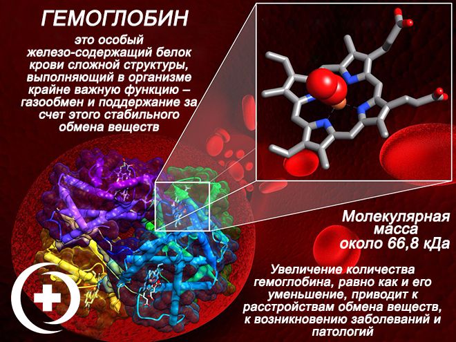 инфо