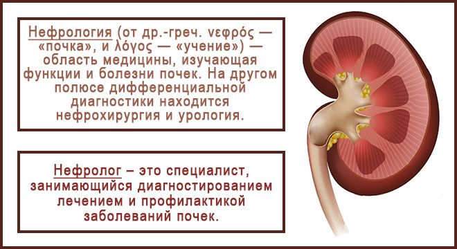 Нефролог