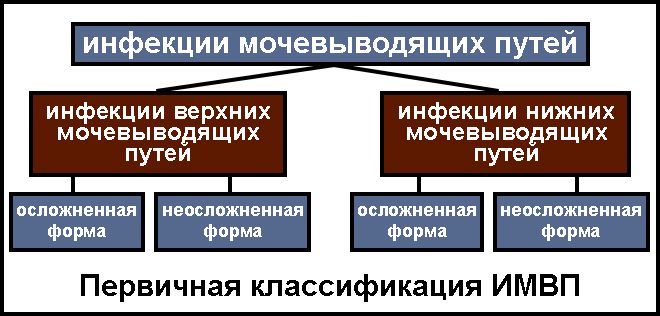 классификация ИМВП