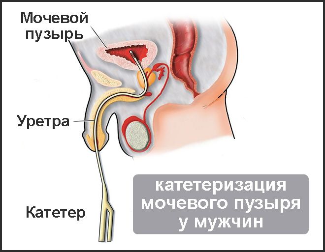 у мужчин