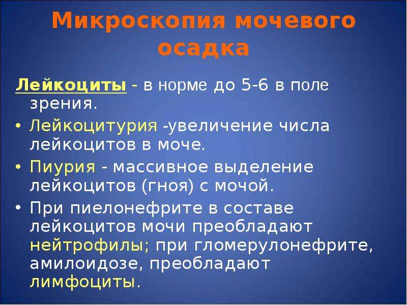 Лейкоциты в моче лейкоцитурия