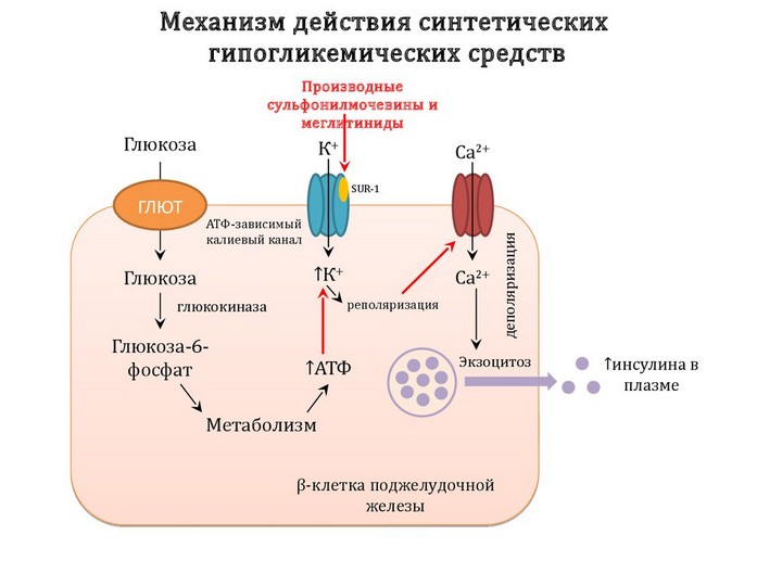 меглитиниды