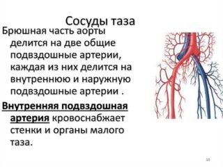 Застой крови в малом тазу у женщин и мужчин: симптомы, лечение, причины