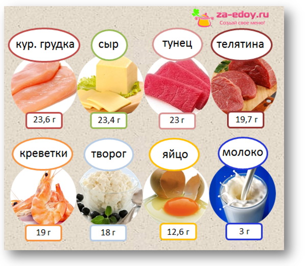 В каких продуктах содержится молочный белок