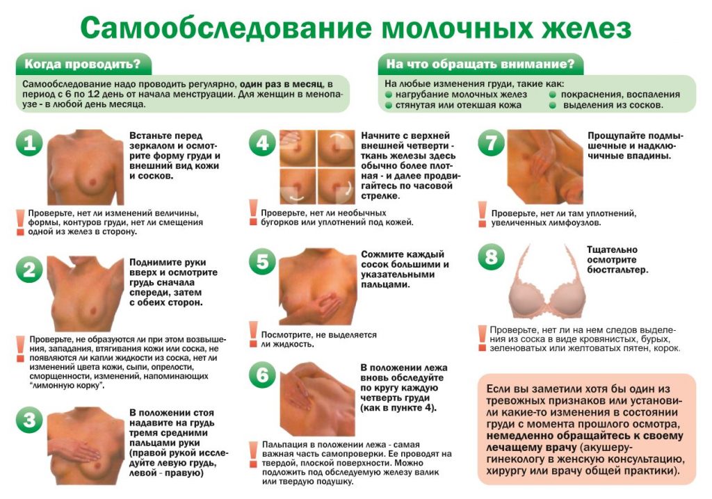 Рак молочной железы на УЗИ: видно ли, как выглядит РМЖ на УЗИ?