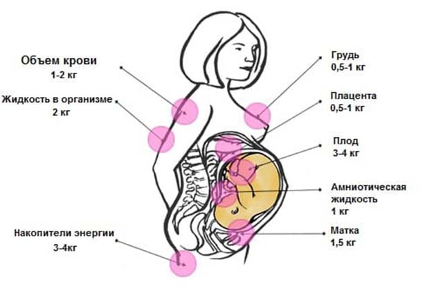 Прибавка в весе