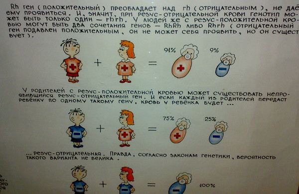 Вторая отрицательная. Первая положительная группа крови у женщины 3 положительная у мужчины. 4 Отрицательная группа крови у женщины и 3 положительная у мужчины. Мама вторая положительная папа третья отрицательная. Группа крови мамы 3 отрицательная папа 2 положительная.