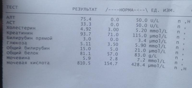 Мочевая кислота у женщин после 60