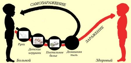 Мнение доктора Комаровского о лечение аскаридоза у детей