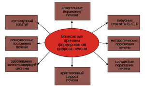 Какие могут быть причины возникновения цирроза