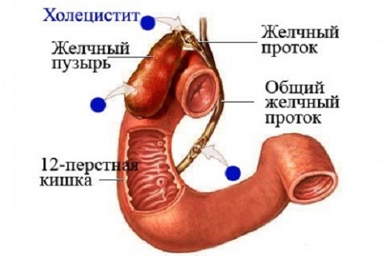 Пораженные внутренние органы