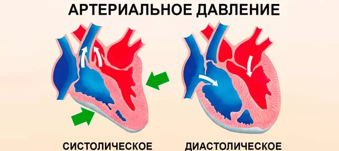 Систолическая артериальная гипертензия. Артериальное давление систола. Систолическое и диастоличсекоедавление. Систолическое и диастолическое давление. Ад систолическое и диастолическое.