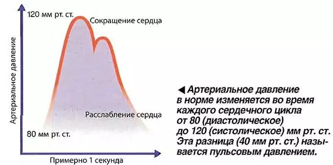 Пульсовое давление