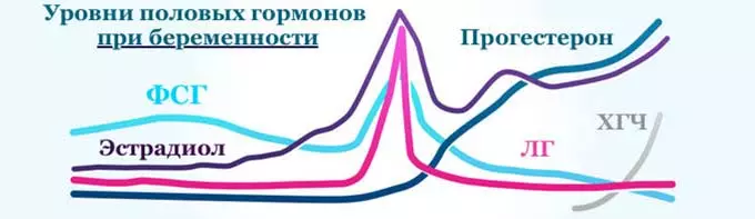 Изменение гормонального фона у беременных