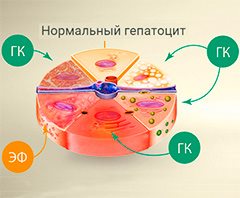 средства при заболевании печени