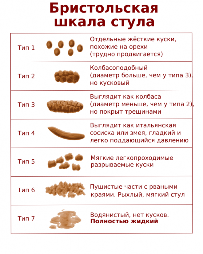 Bristolskaja-shkala-stula