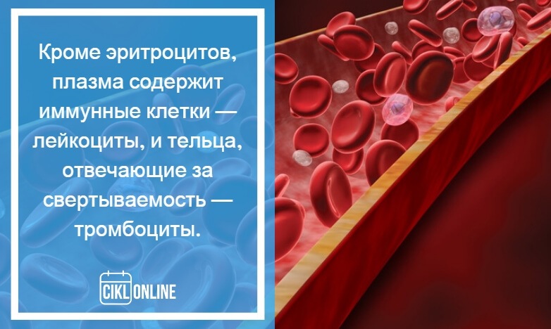 Может ли при месячных повышаться. Сахар в крови и менструальный цикл. Менструация эритроциты. Повышение СОЭ В месячные. Повышение СОЭ при месячных.