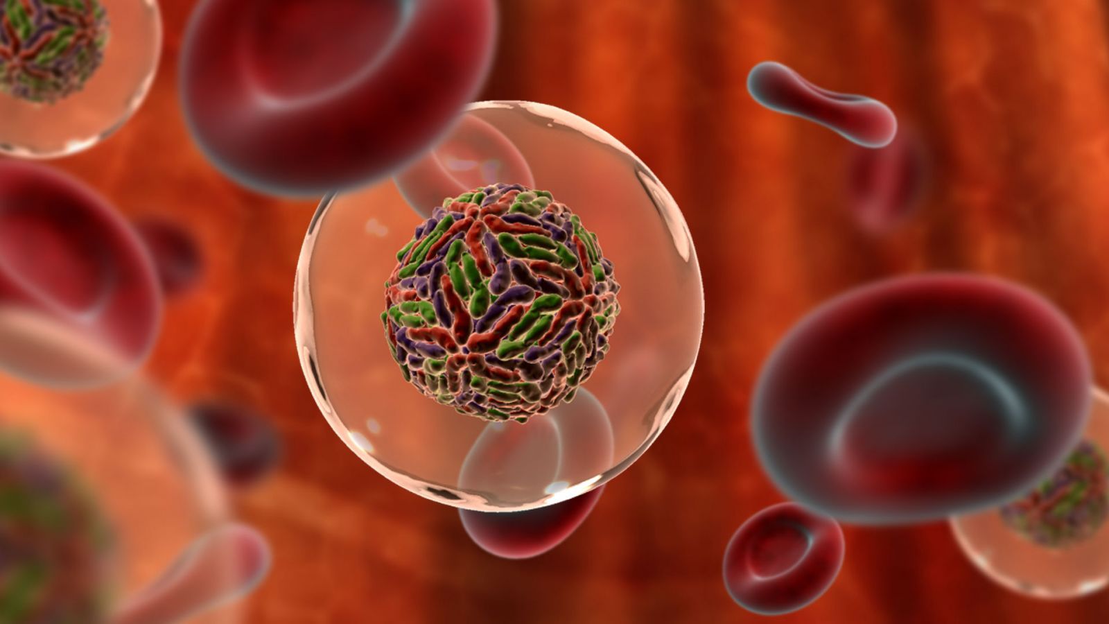Вирусы ВИЧ и гепатит в крови