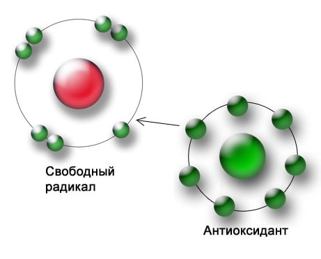 полезные свойства помело