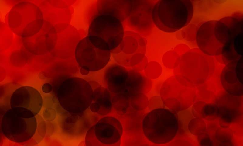 Credit: CC0 Public Domain blood cell