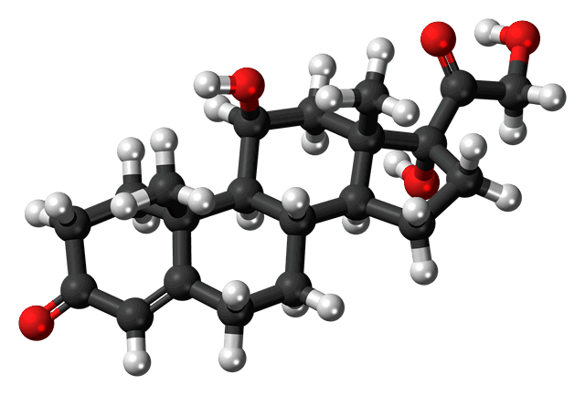 Трехмерная модель молекулы кортизола