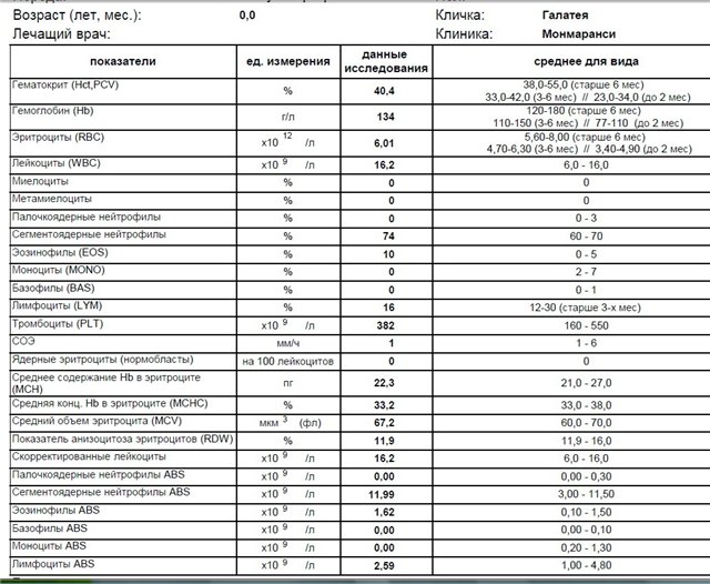 Повышена mchc у ребенка