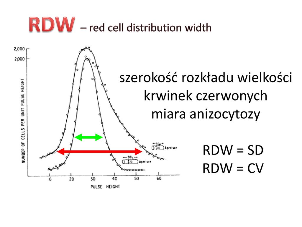 Что значит rdw cv. RDW (Red-Cell distribution width). RDW-CV RDW-SD. RDW — Red Cell distribution. RDW (Red Cell distribution width) характеризует.