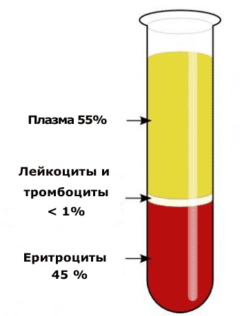 Для чего исследуется СОЭ