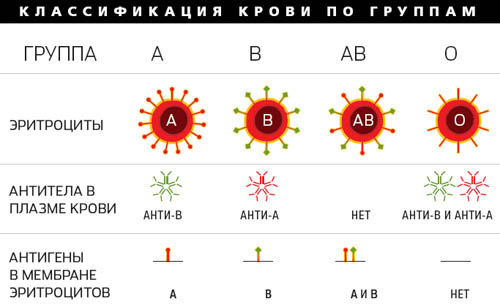 Совместимость для переливания между группами