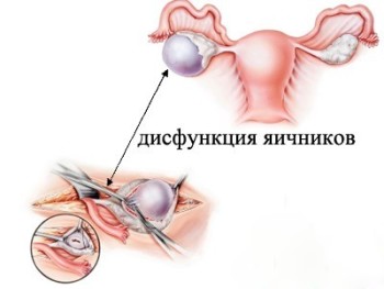 Оранжевая кровь