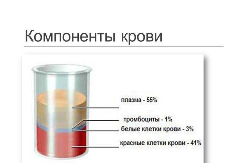 Применение крови и ее компонентов