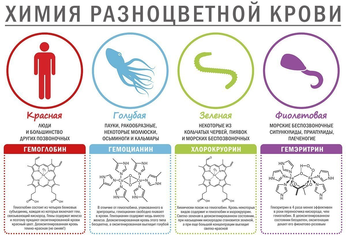 История возникновения