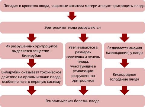 Другие показания для назначения анализа