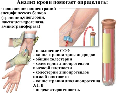 Показания к назначению