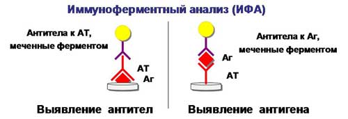 Общие представления